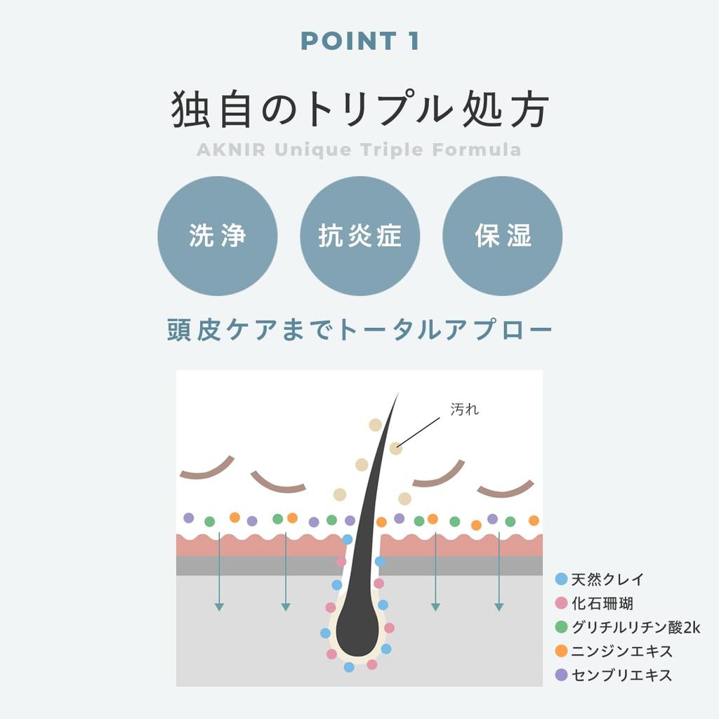 AKNIR Medicated Supervised by Scalp Gift [Rich Formula] Shampoo, Rinka, Foaming, Silicone-Free, Care,