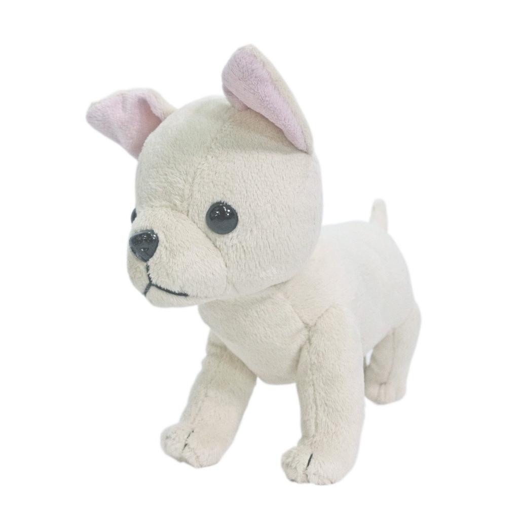 Shinada and Chihuahua together