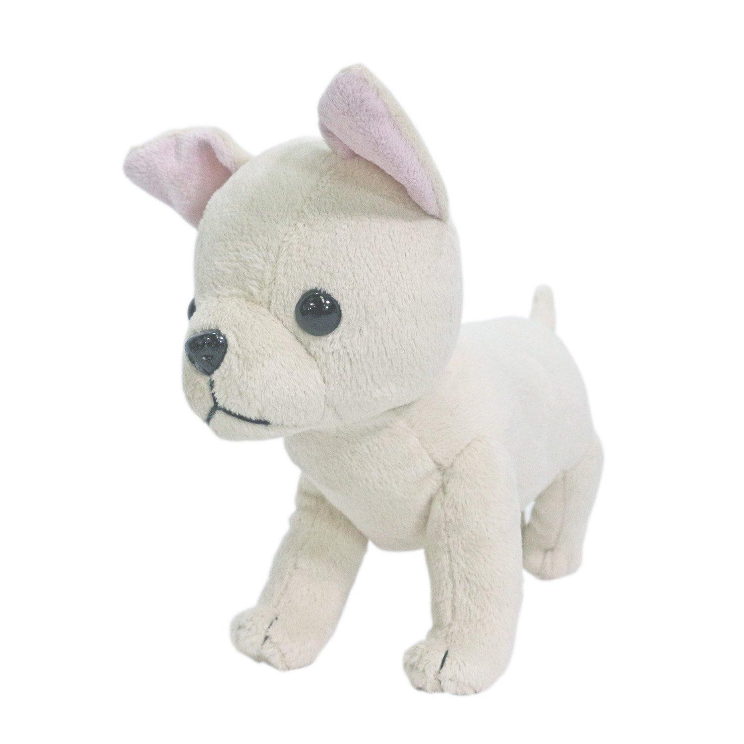 

Shinada and Chihuahua together