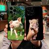 for Motorola Moto G54 G05 G24 G67 G55 G75 G9 G85 G15 G57 G86 Power Edge 50 30 Ultra Fusion neo Pro Case Anime Cute Pig Funny