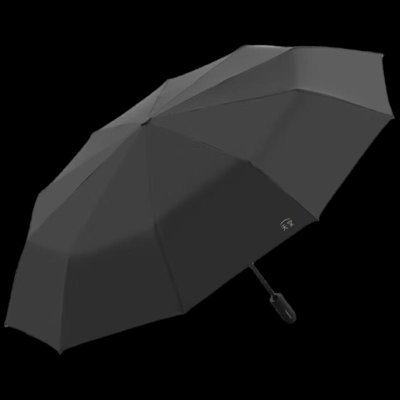 Paradise Automatic Sun/Rain Umbrella