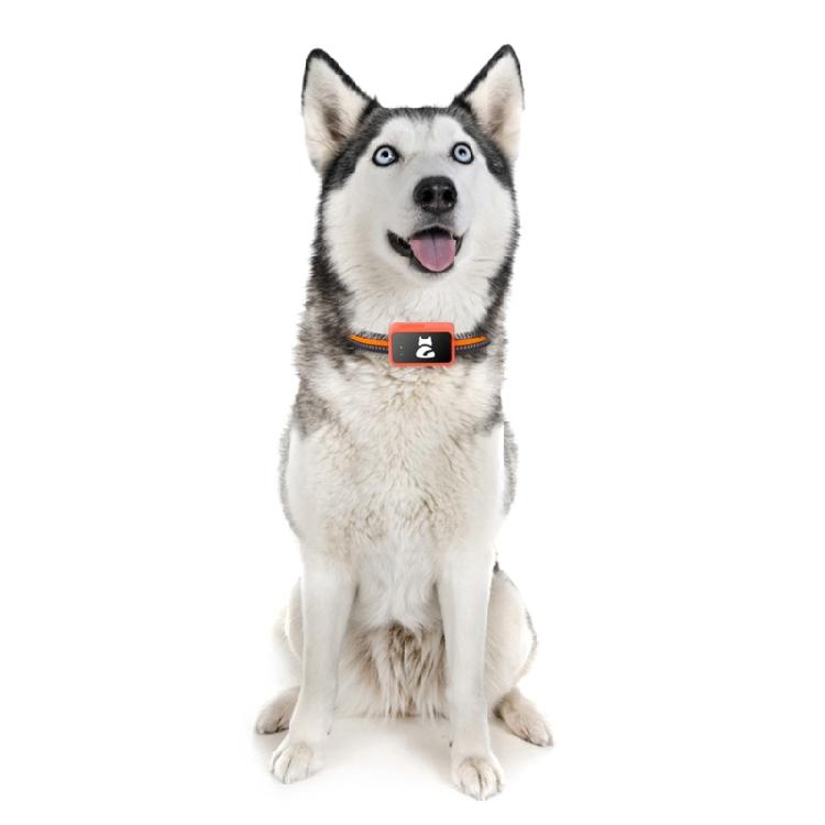 Pet Navigation Tracking Device With Multiple Networking Compatibility And Real Time Location Updates For Active Children