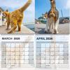 2026 Cat Ball Calendar Jan.2026 - Dec.2026 12 Monthly Wall Calendar with Hilarious Feline Moments Gag Gift for Cat Lovers