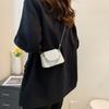 Popular Textured Small Bag Women's 2025 Spring and Summer New Trendy Mini Chain Portable Shoulder Messenger Bag Small Square Bag