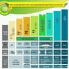 New Concept English Workbook
