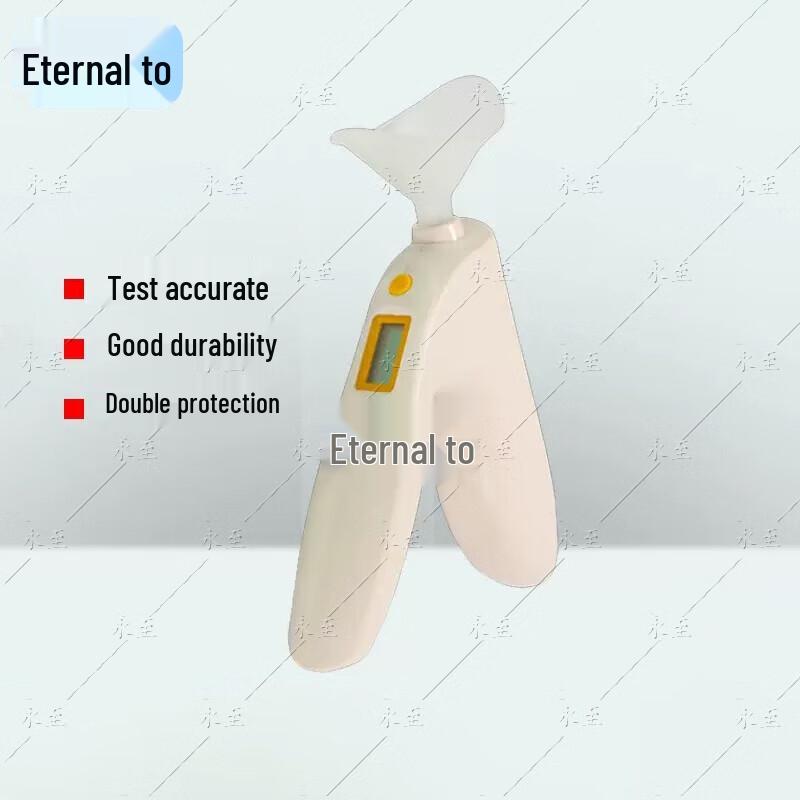 Portable Handheld Spirometer