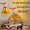 Aquaculture Adjustable Waterproof Heat Lamp for Piglets and Pets