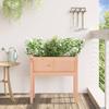 Plant Pot with Legs 70 X 31 X 70 Cm Solid Douglas Fir Wood