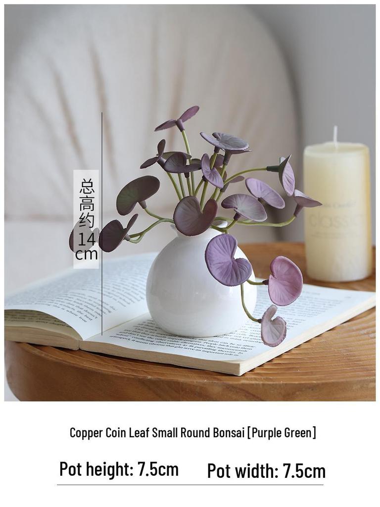 Miniature Succulent Bonsai Desk Ornament: Green Plant Props for Home or Office Decor