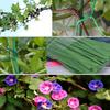 Portable Heavy Duty Plastic Coated Roll Wire Twist Ties Gardening Plant Tool