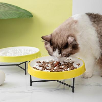 Ciotole e piatti in ceramica per animali domestici a lento rilascio, ciotole per cani rialzate, ciotole per cibo, anti-soffocamento per gatti, cuccioli, cani di taglia piccola e media e prodotti per cani