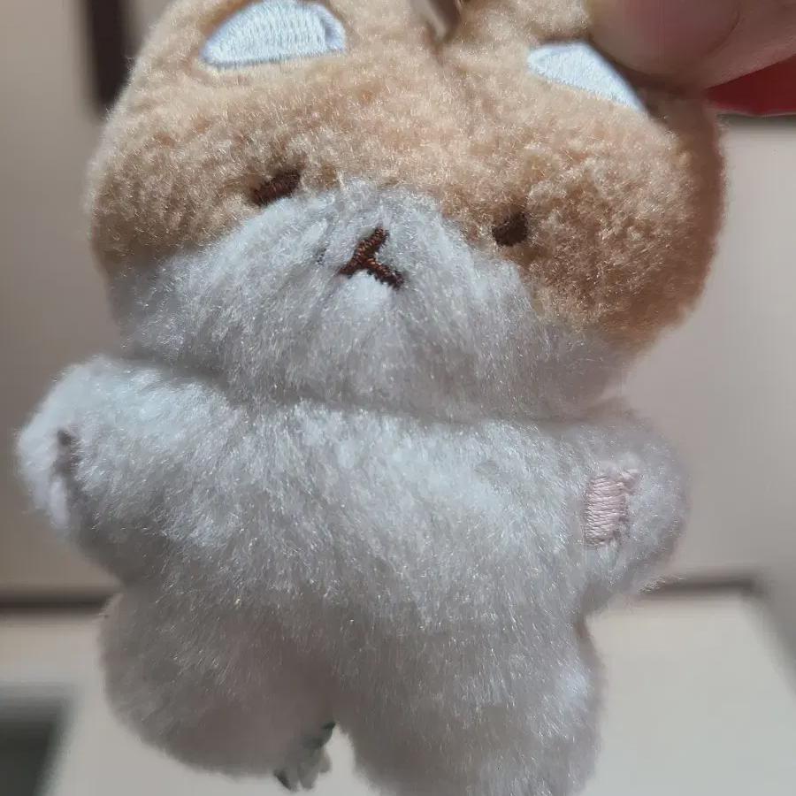 

Кукла Baekhyun Teragi, 10 Gg, Contaminated, Unpacked