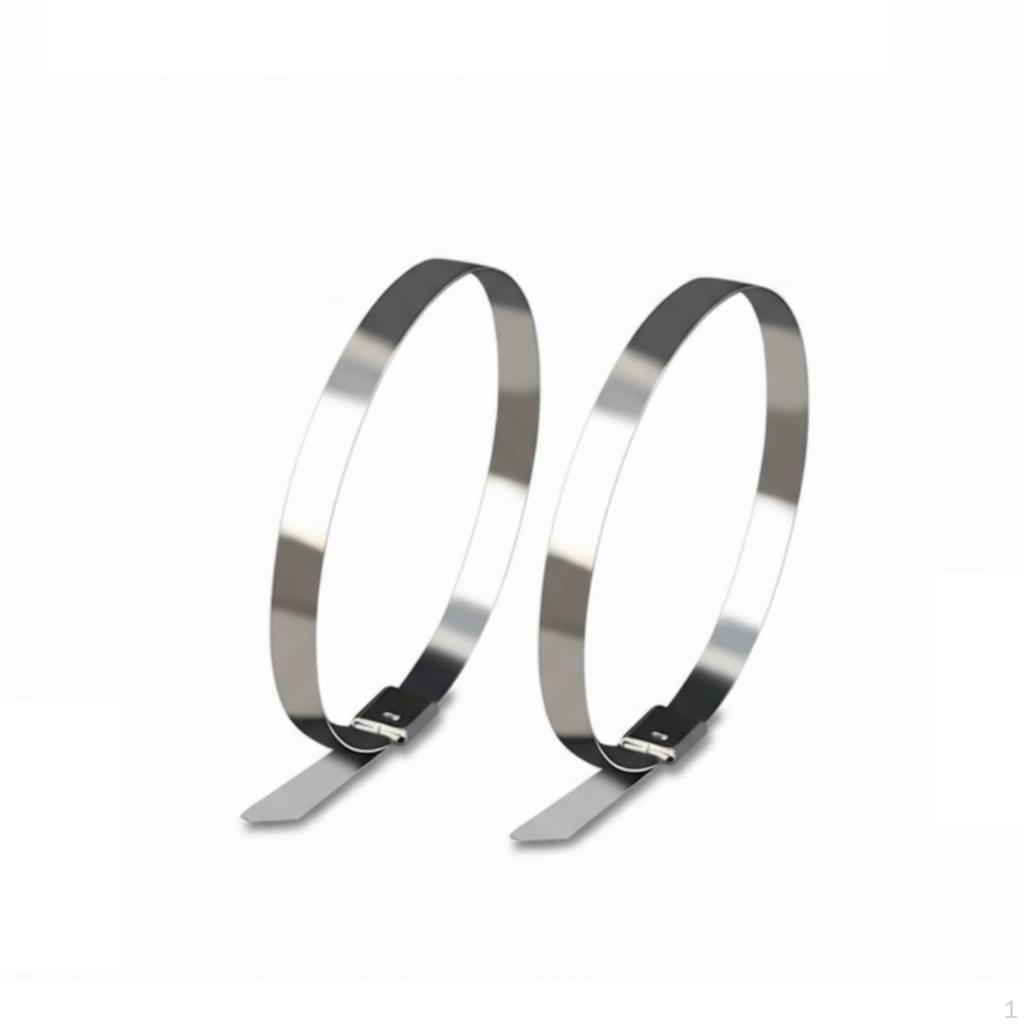 100 Pieces Stainless Steel Cable Tie Resistant Zip RustResistant SelfLocking