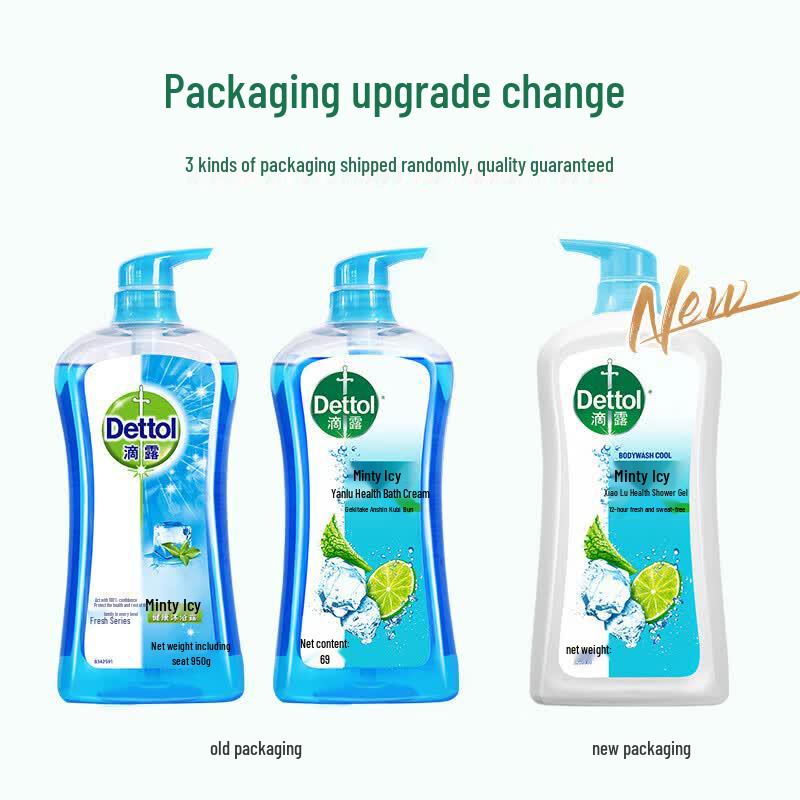 Dettol Mint Ice Cool Health Shower Gel