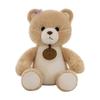 Cute Cute Pet Bear Plush Toy Children's Scarf Penguin Doll Claw Machine Doll Activity Throw Rabbit