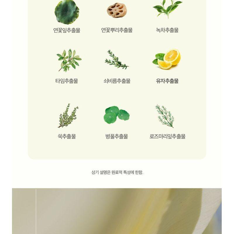 THE PURE LOTUS - Lotus Leaf Shampoo For Oily Scalp Jumbo