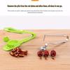 Stainless Steel Red Date Pitter