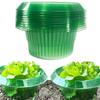 Vegetable Protection Cover Plant Shield With Pest Prevention For Garden Use