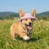 Exposed Ears Corduroy Dog Hat Breathable Pet Sun Hat Fashion Dog Sunscreen Hat  For Dogs Cats
