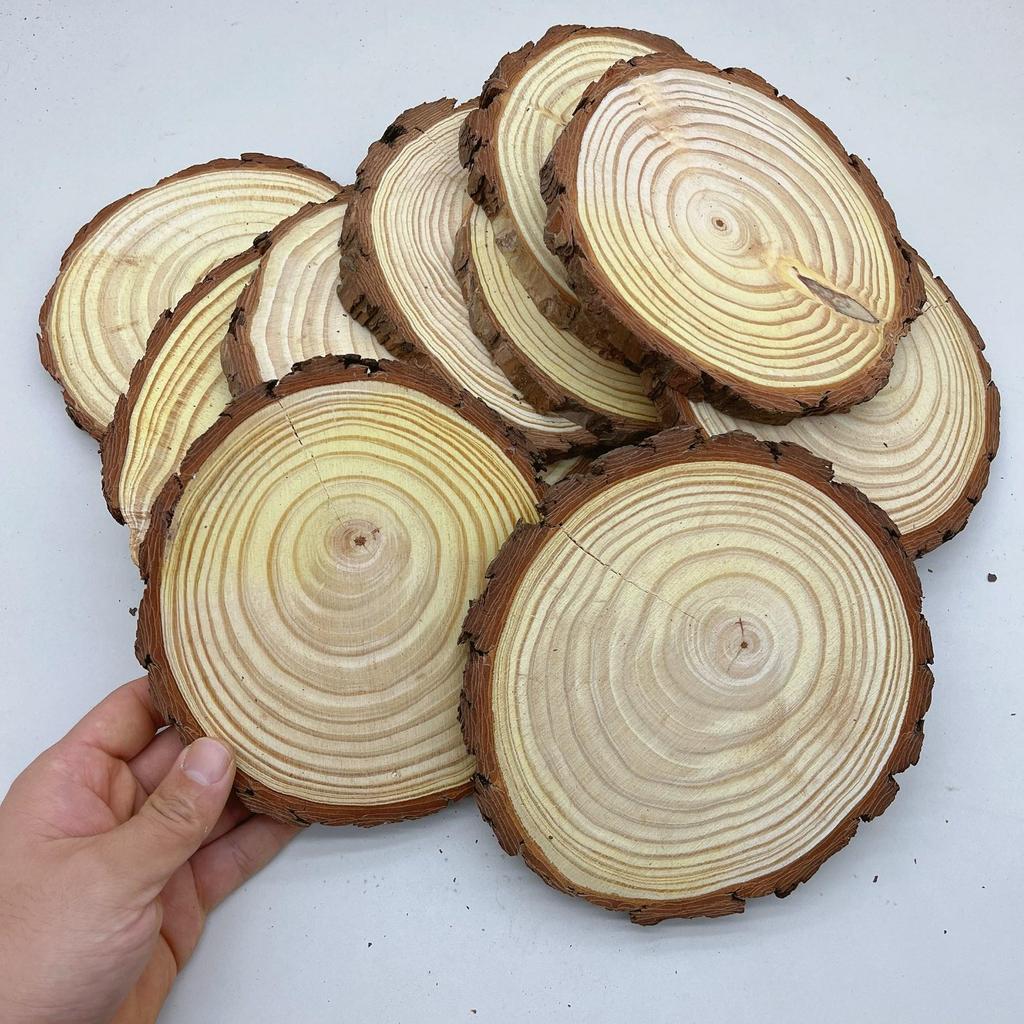 DIY Hand-Painted Wooden Slices for Crafts and Kindergarten Decor – Small Natural Wood Pieces with Growth Rings