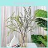 Artificial Bungeanum Zanthoxylum Branch For Event Decor And Props Photography