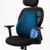 Sleepsia Back Support for Office Chair with  Lumbar Support Pillow