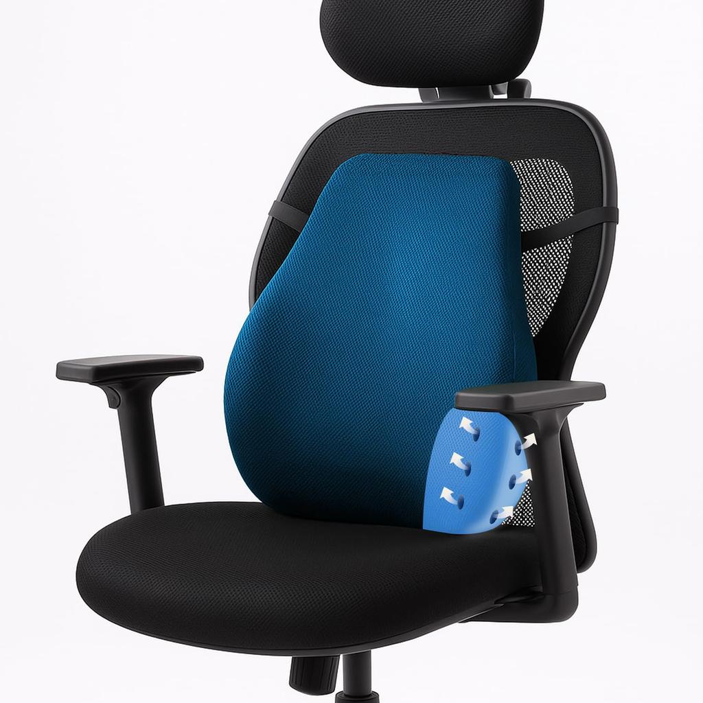 Sleepsia Back Support for Office Chair with  Lumbar Support Pillow