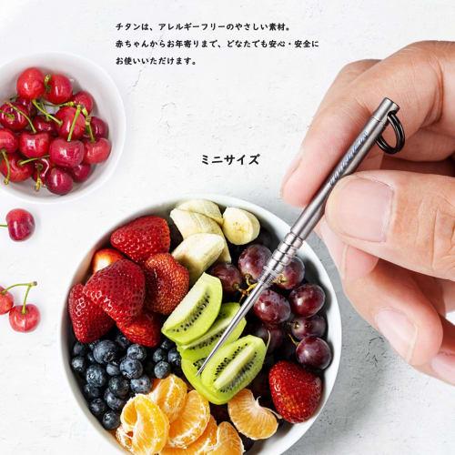 Titanium Multi-Function Mini Toothpick, Lightweight, Portable EDC Tool (Stone Wash)