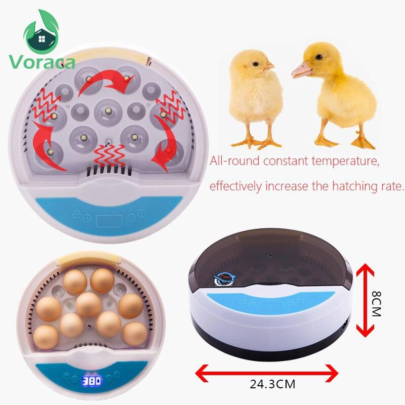 110V/220V Yumurta Kuluçka Makinesi LED Otomatik Civciv Çıkarma Makinesi Sıcaklık Kontrollü Dijital Kuluçka Makinesi 9 Yumurta Mini Civciv Büyütme Makinesi Kanatlı Kuş