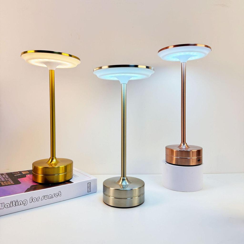 Modern Luxury I-Shaped LED Touch Desk Lamp with USB Charging