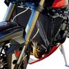 Modified Radiator Guard for Triumph Street Triple 765 R/RS (2023-2024)