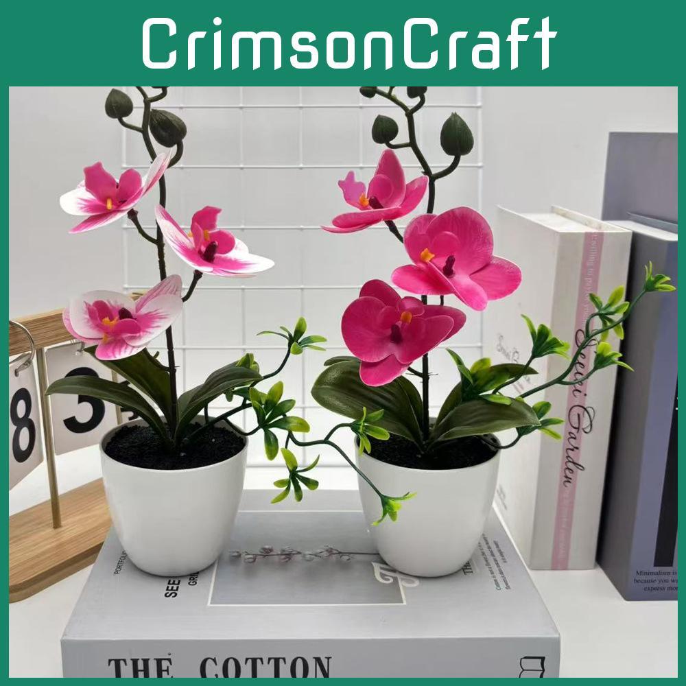 Simulated Sand Phalaenopsis Bonsai Green Plants For Home Wedding Decoration