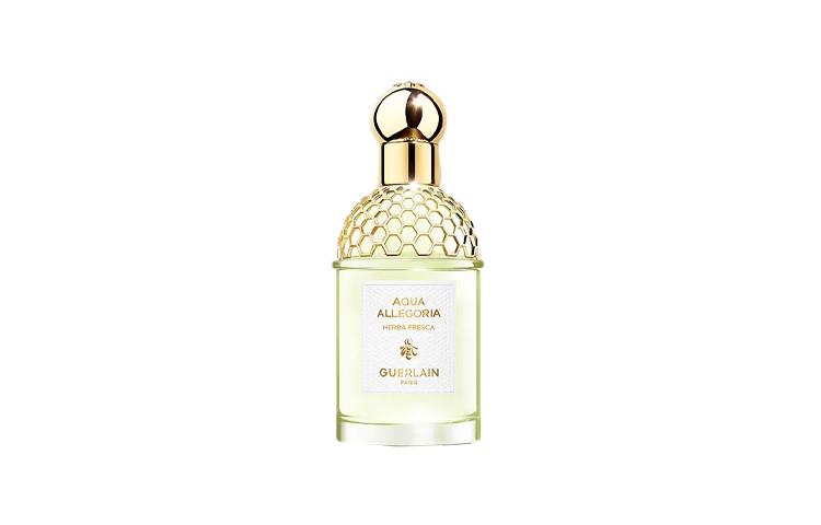 GUERLAIN Aqua Allegoria Mint Grass Perfumes Vanilla Scent Eau De Toilette Trefoil Camellia Sinensis Leaf 75ml 75ml