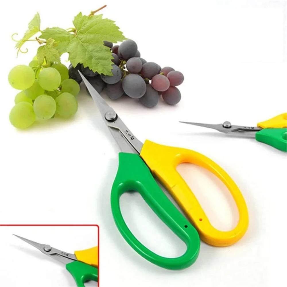 Gardening Tool Scissors Two-color Branch Bonsai Scissors Elbow Rare Fruit Picking Grape Scissors Picking Tool Garden