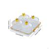 4 Grids Dried Fruit Plate Appetizer Serving Tray Dustproof Divided Dishes for Party Living