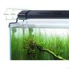 Bright Aquarium Lighting Led Fishes Tank Lamp with Extendable Bracket UK
