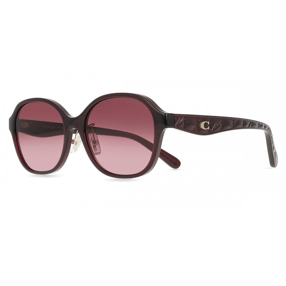 Coach Women Sunglasses Hc8445d Cby85 Model 59158h