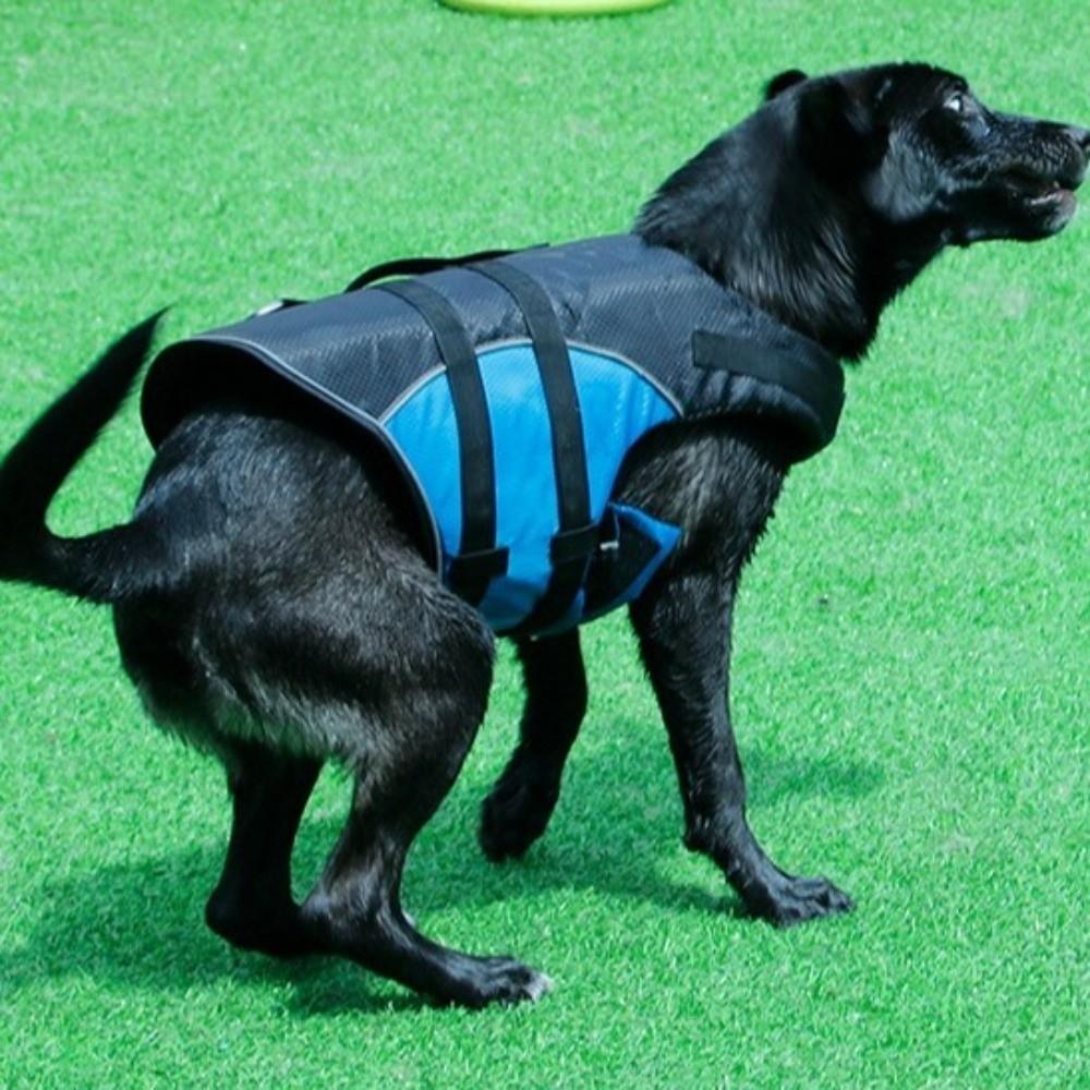 Adjustable Dog Life Jacket Enhanced Buoyancy Dog Surfing Clothes Pet Safety Vest  Water Sports