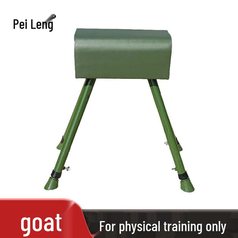 School Gymnastic Vaulting Horse