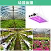 5000W Quantum Board LED Grow Light Phyto Lamp Full Spectrum LED Plants Bulb Indoor 4000W Phytolamp For Flower Seedling