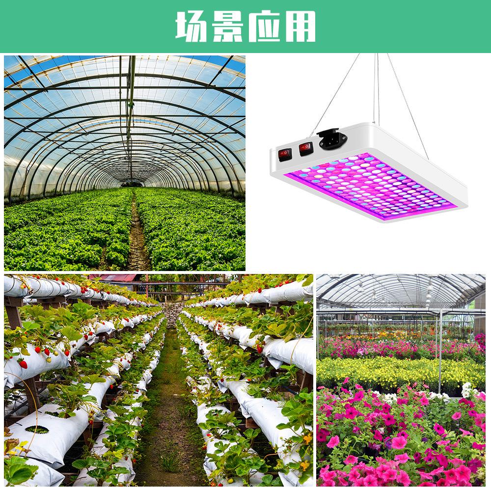 5000W Quantum Board LED Grow Light Phyto Lamp Full Spectrum LED Plants Bulb Indoor 4000W Phytolamp For Flower Seedling