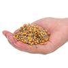 1000Pcs Monolithic Capacitor InLine Ceramic 100PF 5.08mm Lead Pitch DC50V 10% Deviation