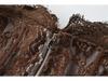 Elegant Lace Patchwork Backless Camisole Corset for Women - Slimming Spring Top