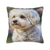 Cute Bichon Frise Pillow Cover  Comfy Cushion Cover Funny Pillow Case For Sofa Home Decor