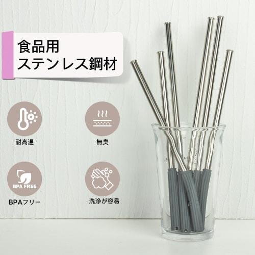 SKIASE Replacement Stainless Steel Straw Set for 900ml Tumbler (1 Stainless Steel Straw & 1 Brush)