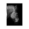 Black White Animal Wall Art Prints Unframed Modern Wild Lion Tiger Gorilla Posters for Living Room Bedroom Decor