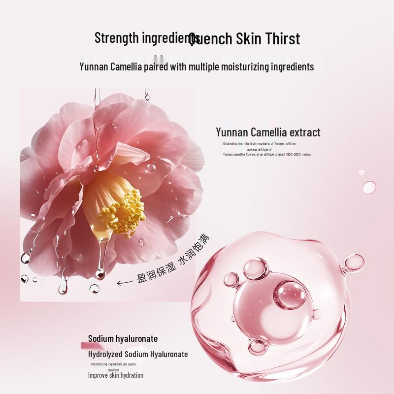 DR PLANT Camellia Hydrating & Moisturizing Skincare Set