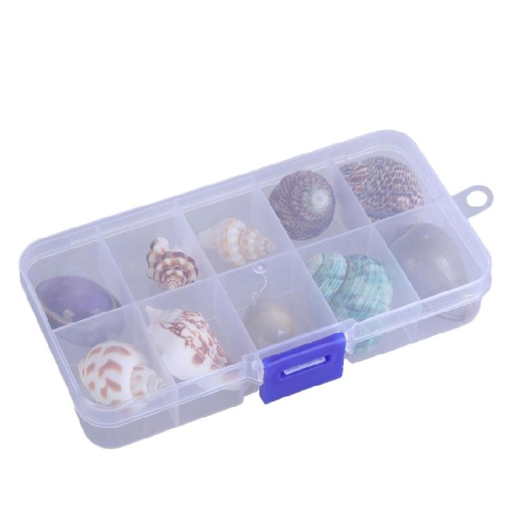 Floating Seashells Display Box Large-capacity Seashells Decorative Storage Box for Home and Beach Decoration