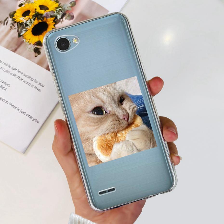 For LG Q6 Q6a Q6+ M700 X600K X600L X600S Cute Flower Cat Painted Phone Case For LG Q6 Plus Q 6 Alpha Soft Silicone TPU Cases