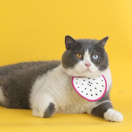 Cartoon Fruit Pet Bandana Watermelon Orange Kiwi Pet Neckerchief Scarf Adjustable Pet Bib Accessories for Dogs And Cats